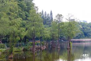 龙潭公园