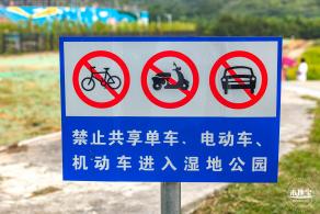 龙岗湿地公园