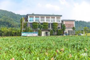 龙岗湿地公园