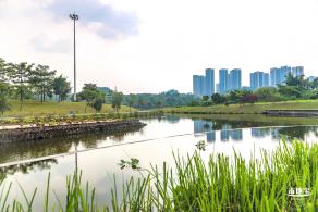 龙岗湿地公园