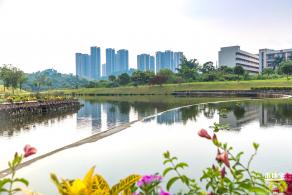 龙岗湿地公园