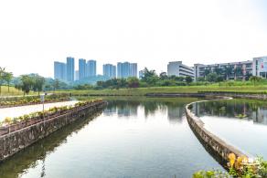 龙岗湿地公园