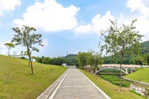 龙岗湿地公园