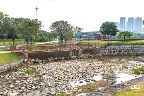 龙岗湿地公园