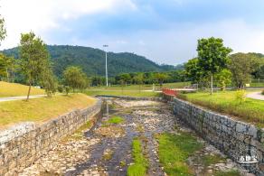 龙岗湿地公园