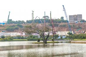 龙岗湿地公园