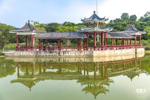 龙岗湿地公园