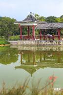 龙岗湿地公园