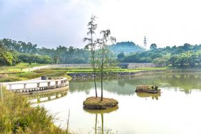 龙岗湿地公园