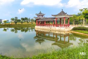 龙岗湿地公园