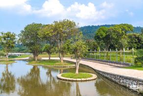 龙岗湿地公园