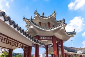 龙岗湿地公园