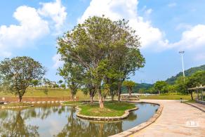 龙岗湿地公园