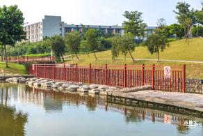 龙岗湿地公园