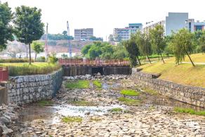 龙岗湿地公园