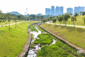 龙岗湿地公园