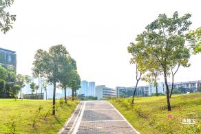龙岗湿地公园