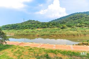 龙岗湿地公园