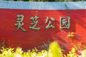 灵芝公园