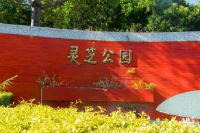 灵芝公园