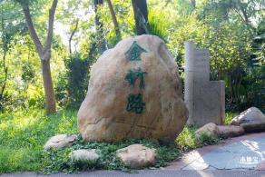 翠竹公园