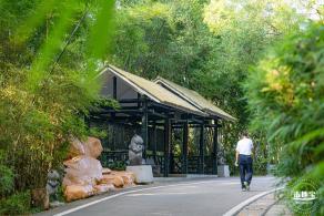 翠竹公园