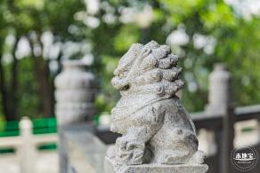 红花山儿童乐园