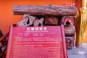 光明红木小镇