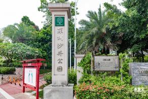 沙井公园