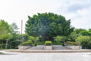 沙井公园