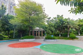 沙井公园