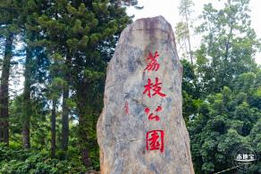 荔枝公园