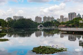 荔枝公园