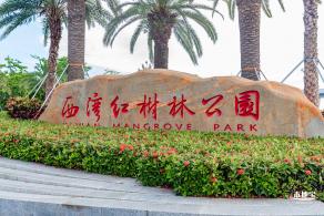西湾红树林公园
