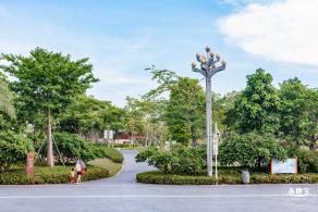西湾红树林公园