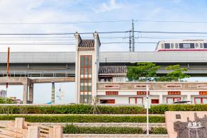 西湾红树林公园