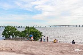 西湾红树林公园