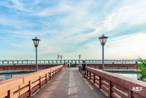 西湾红树林公园