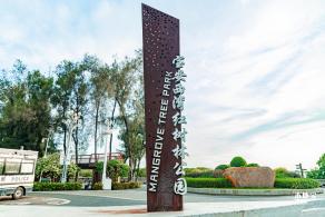 西湾红树林公园