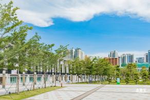 新桥市民广场