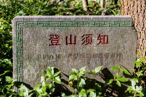 园博园