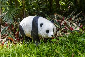深圳儿童公园