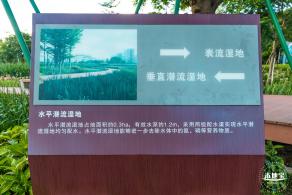 鹅颈水湿地公园