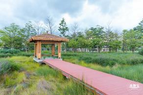 鹅颈水湿地公园