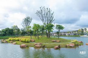 鹅颈水湿地公园