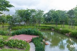 鹅颈水湿地公园