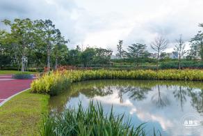 鹅颈水湿地公园