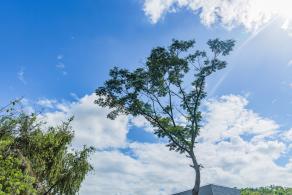 麒麟山公园
