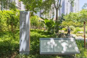 景田北一街公园（岩石主题园）