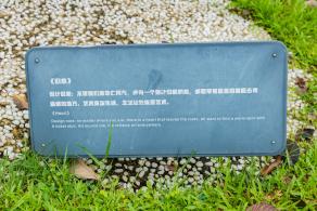 南园公园